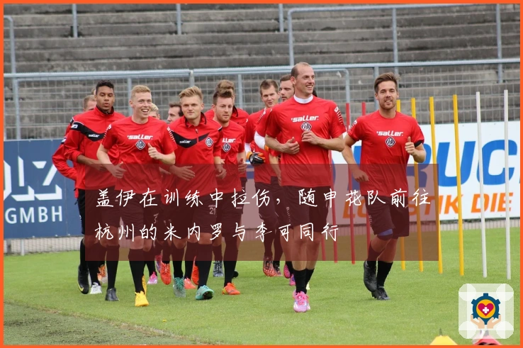 盖伊在训练中拉伤，随申花队前往杭州的米内罗与李可同行