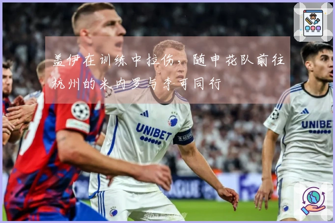 盖伊在训练中拉伤，随申花队前往杭州的米内罗与李可同行