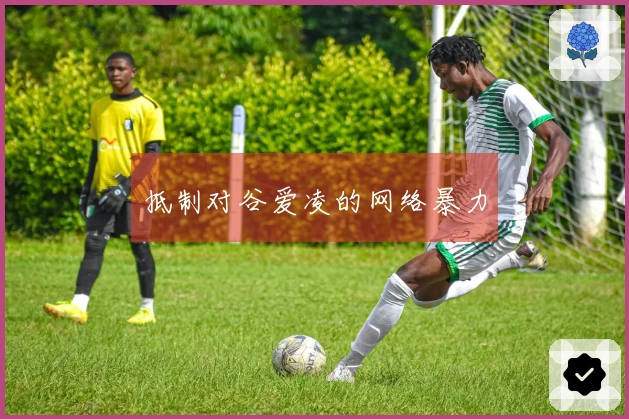 抵制对谷爱凌的网络暴力